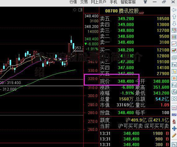 武汉控股股票的简单介绍