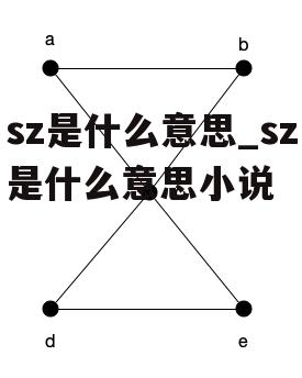 sz是什么意思_sz是什么意思小说