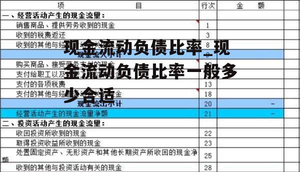 现金流动负债比率_现金流动负债比率一般多少合适