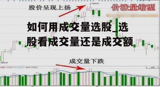 如何用成交量选股_选股看成交量还是成交额