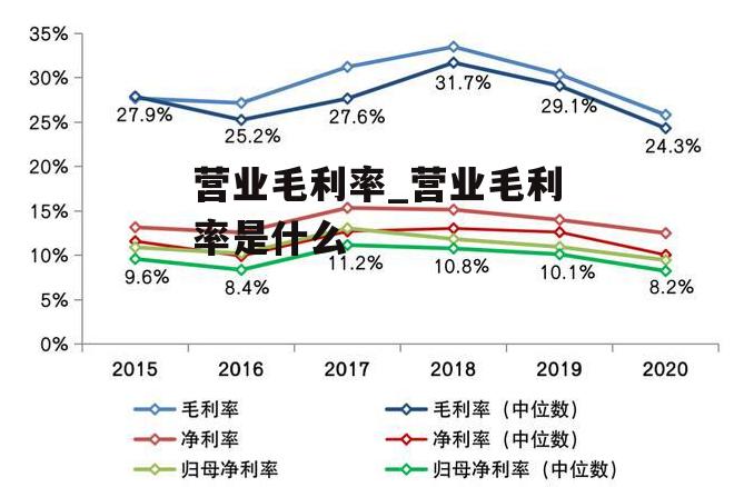 营业毛利率_营业毛利率是什么