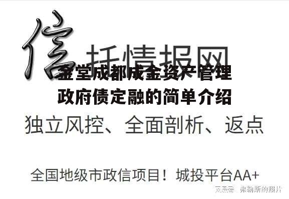 金堂成都成金资产管理政府债定融的简单介绍