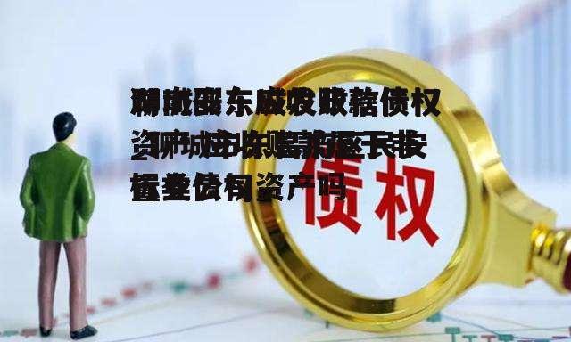 聊城安东城发政信债权_聊城市东昌府区民安置业公司