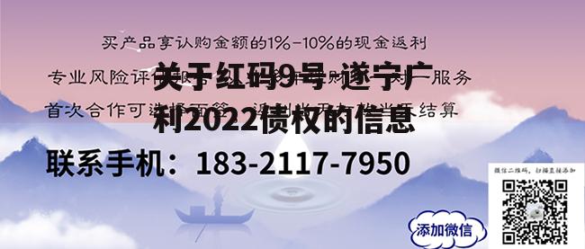 关于红码9号-遂宁广利2022债权的信息