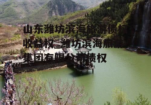 山东潍坊滨海旅游债权收益权_潍坊滨海旅游集团有限公司债权