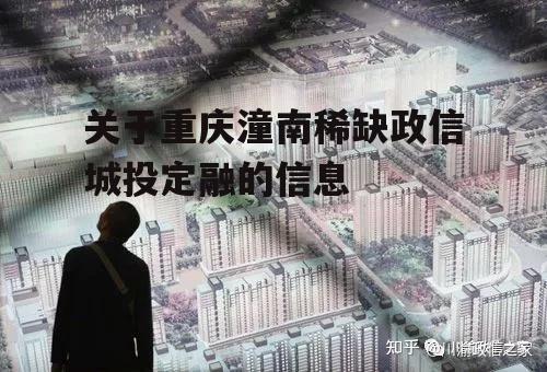 关于重庆潼南稀缺政信城投定融的信息