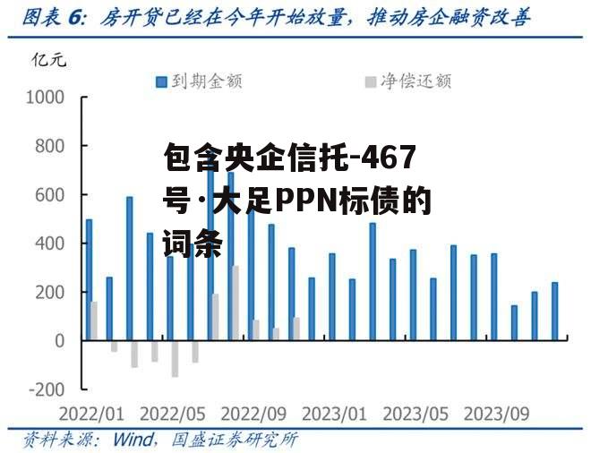 包含央企信托-467号·大足PPN标债的词条