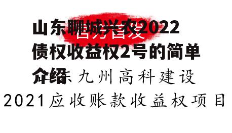 山东聊城兴农2022债权收益权2号的简单介绍