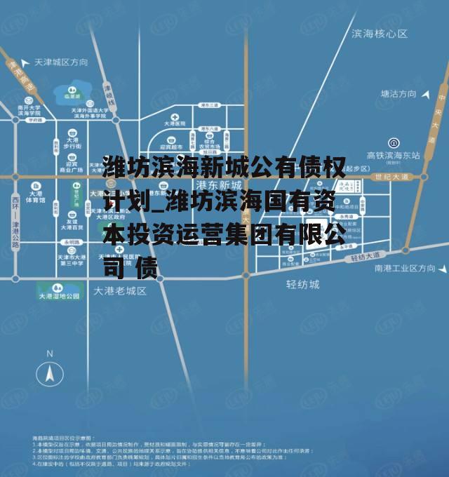 潍坊滨海新城公有债权计划_潍坊滨海国有资本投资运营集团有限公司 债