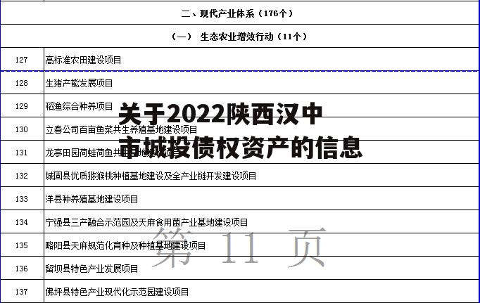 关于2022陕西汉中市城投债权资产的信息