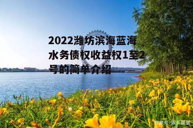 2022潍坊滨海蓝海水务债权收益权1至2号的简单介绍