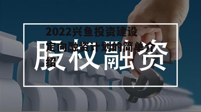 2022兴鱼投资建设定向融资计划的简单介绍