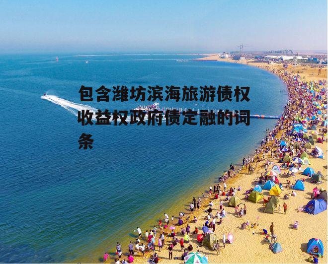 包含潍坊滨海旅游债权收益权政府债定融的词条