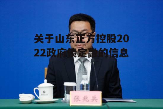 关于山东正方控股2022政府债定融的信息