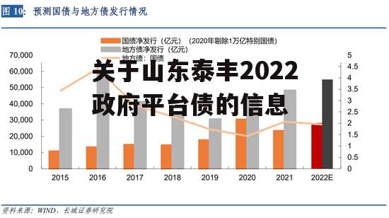 关于山东泰丰2022政府平台债的信息