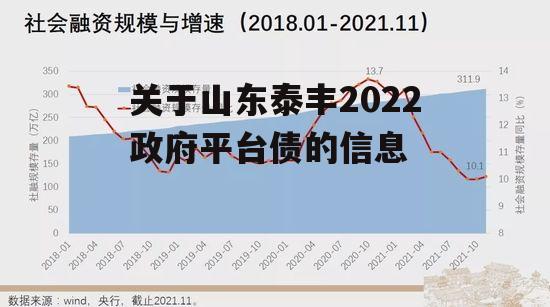 关于山东泰丰2022政府平台债的信息