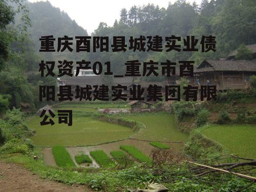 重庆酉阳县城建实业债权资产01_重庆市酉阳县城建实业集团有限公司