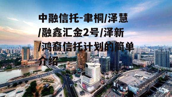 中融信托-聿桐/泽慧/融鑫汇金2号/泽新/鸿裔信托计划的简单介绍