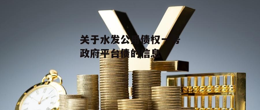 关于水发公用债权一号政府平台债的信息