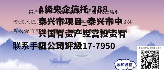 A级央企信托-288泰兴市项目_泰兴市中兴国有资产经营投资有限公司评级