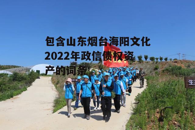 包含山东烟台海阳文化2022年政信债权资产的词条