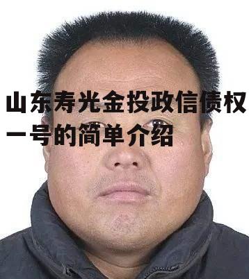 山东寿光金投政信债权一号的简单介绍