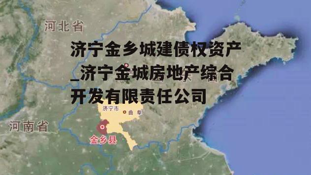 济宁金乡城建债权资产_济宁金城房地产综合开发有限责任公司