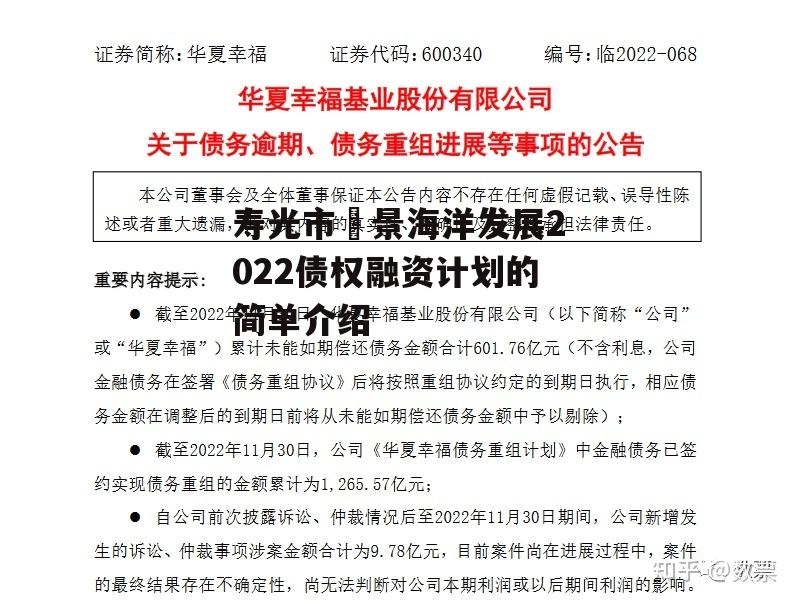 寿光市昇景海洋发展2022债权融资计划的简单介绍