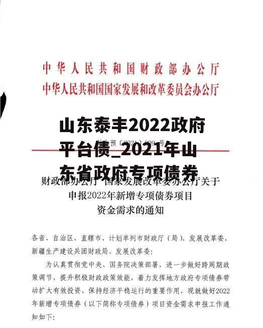 山东泰丰2022政府平台债_2021年山东省政府专项债券