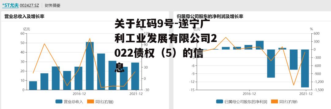 关于红码9号-遂宁广利工业发展有限公司2022债权（5）的信息