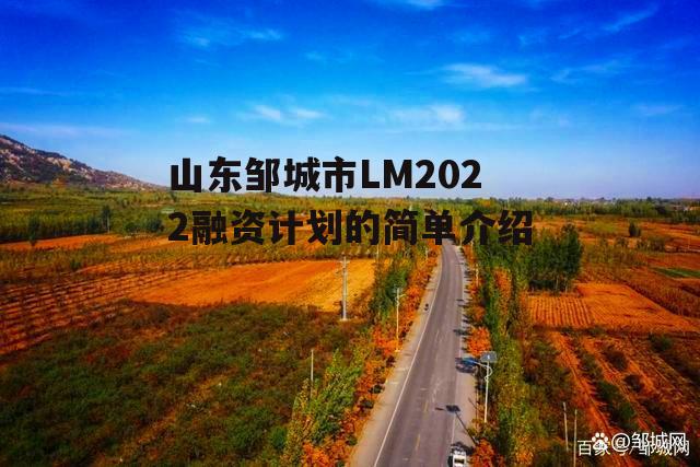 山东邹城市LM2022融资计划的简单介绍