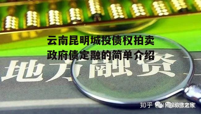 云南昆明城投债权拍卖政府债定融的简单介绍