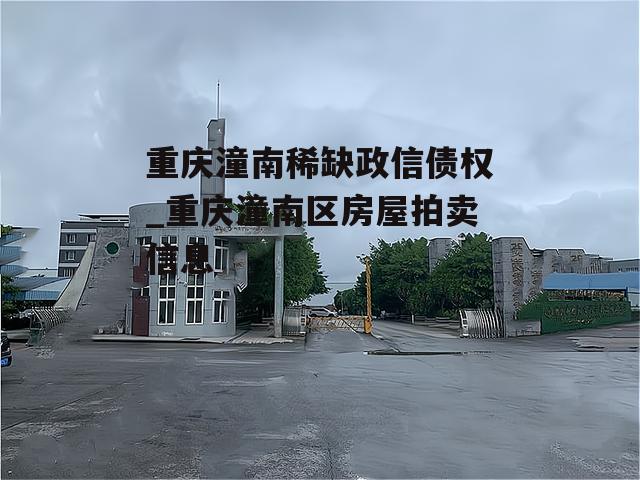 重庆潼南稀缺政信债权_重庆潼南区房屋拍卖信息