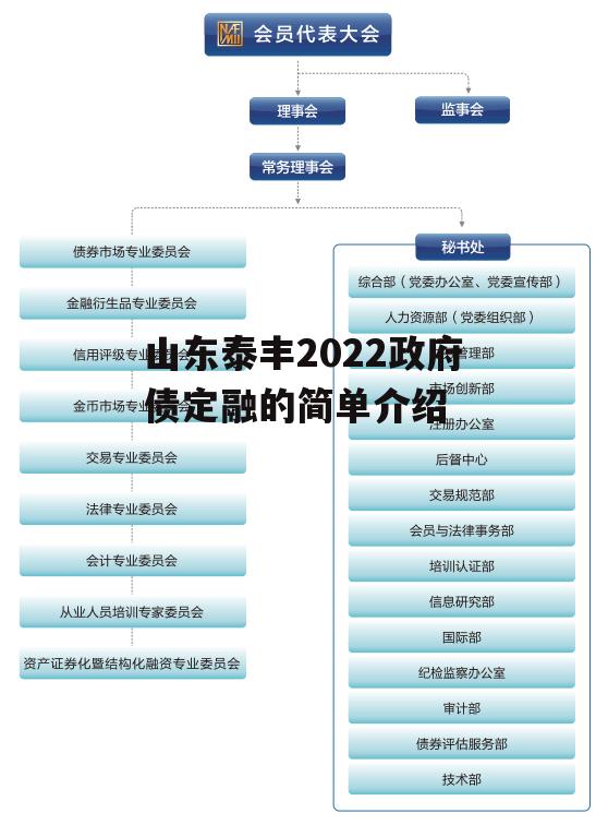 山东泰丰2022政府债定融的简单介绍