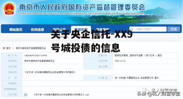 关于央企信托-XX9号城投债的信息