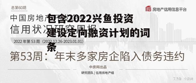 包含2022兴鱼投资建设定向融资计划的词条