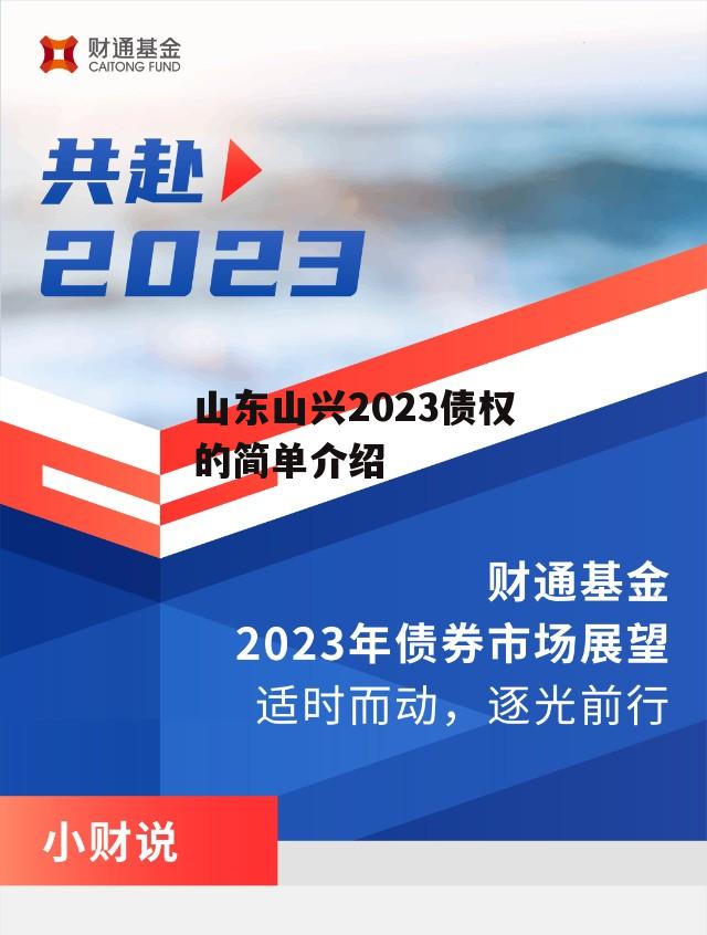 山东山兴2023债权的简单介绍