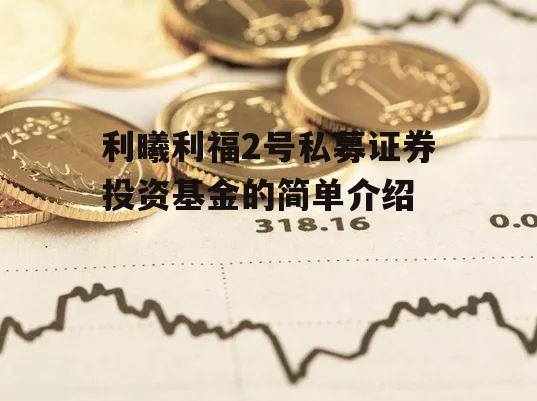 利曦利福2号私募证券投资基金的简单介绍