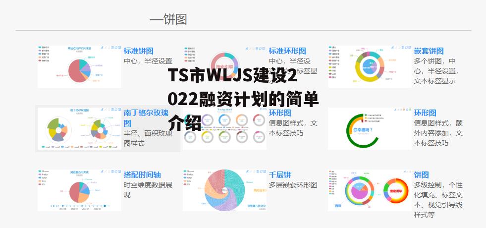 TS市WLJS建设2022融资计划的简单介绍