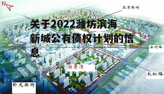 关于2022潍坊滨海新城公有债权计划的信息