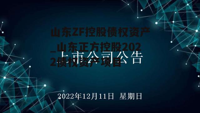 山东ZF控股债权资产_山东正方控股2022债权资产项目