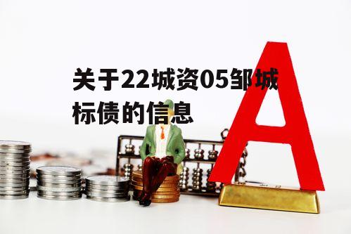 关于22城资05邹城标债的信息