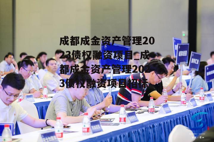 成都成金资产管理2023债权融资项目_成都成金资产管理2023债权融资项目招标