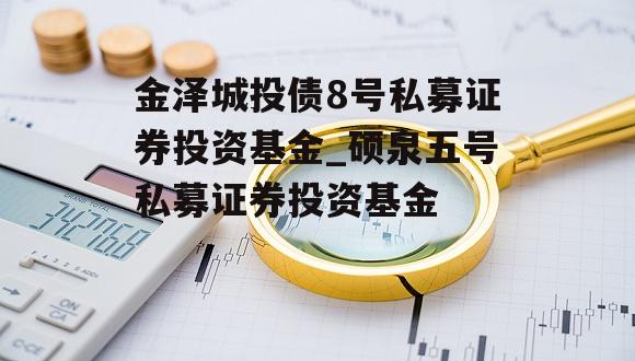 金泽城投债8号私募证券投资基金_硕泉五号私募证券投资基金