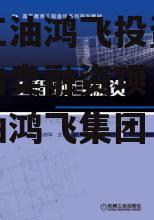 四川江油鸿飞投资债权资产拍卖融资项目_四川江油鸿飞集团