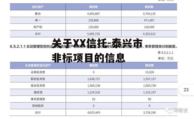 关于XX信托-泰兴市非标项目的信息