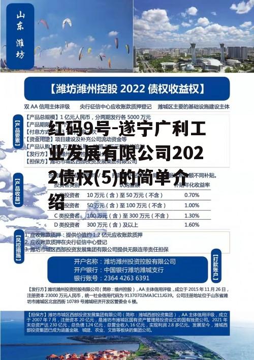 红码9号-遂宁广利工业发展有限公司2022债权(5)的简单介绍