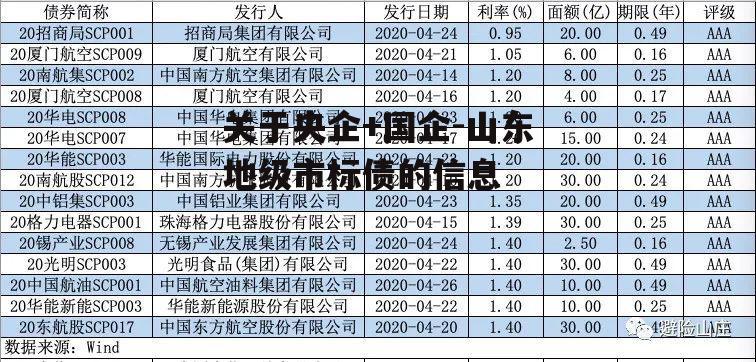 关于央企+国企-山东地级市标债的信息