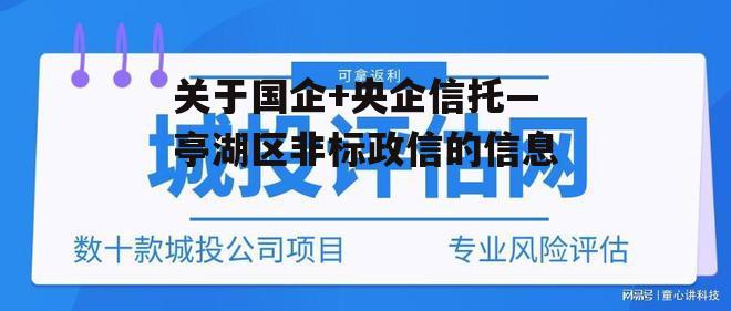 关于国企+央企信托—亭湖区非标政信的信息