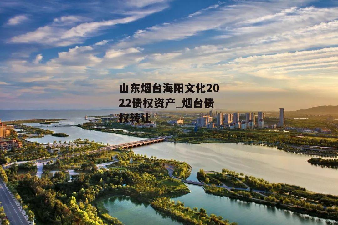 山东烟台海阳文化2022债权资产_烟台债权转让